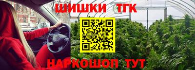 mdpv Славгород
