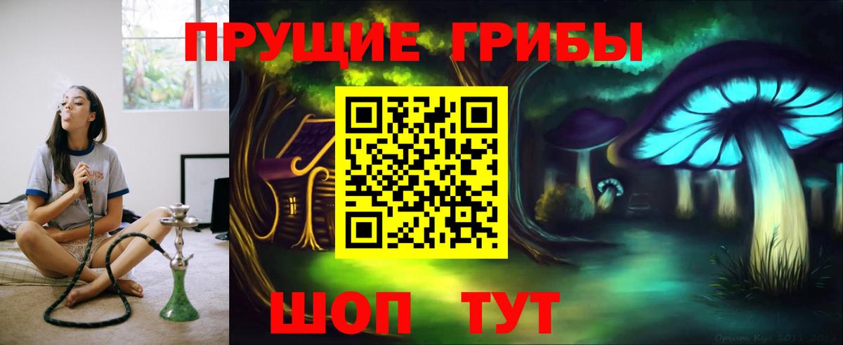 Вышний Волочёк  Псилоцибиновые грибы прущие грибы  Вход с VPN 